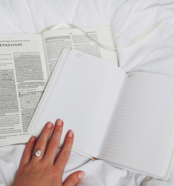 argumentative essay writing